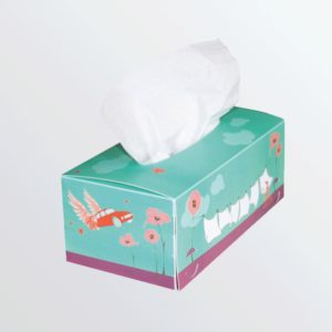 Boîte à mouchoirs pvc